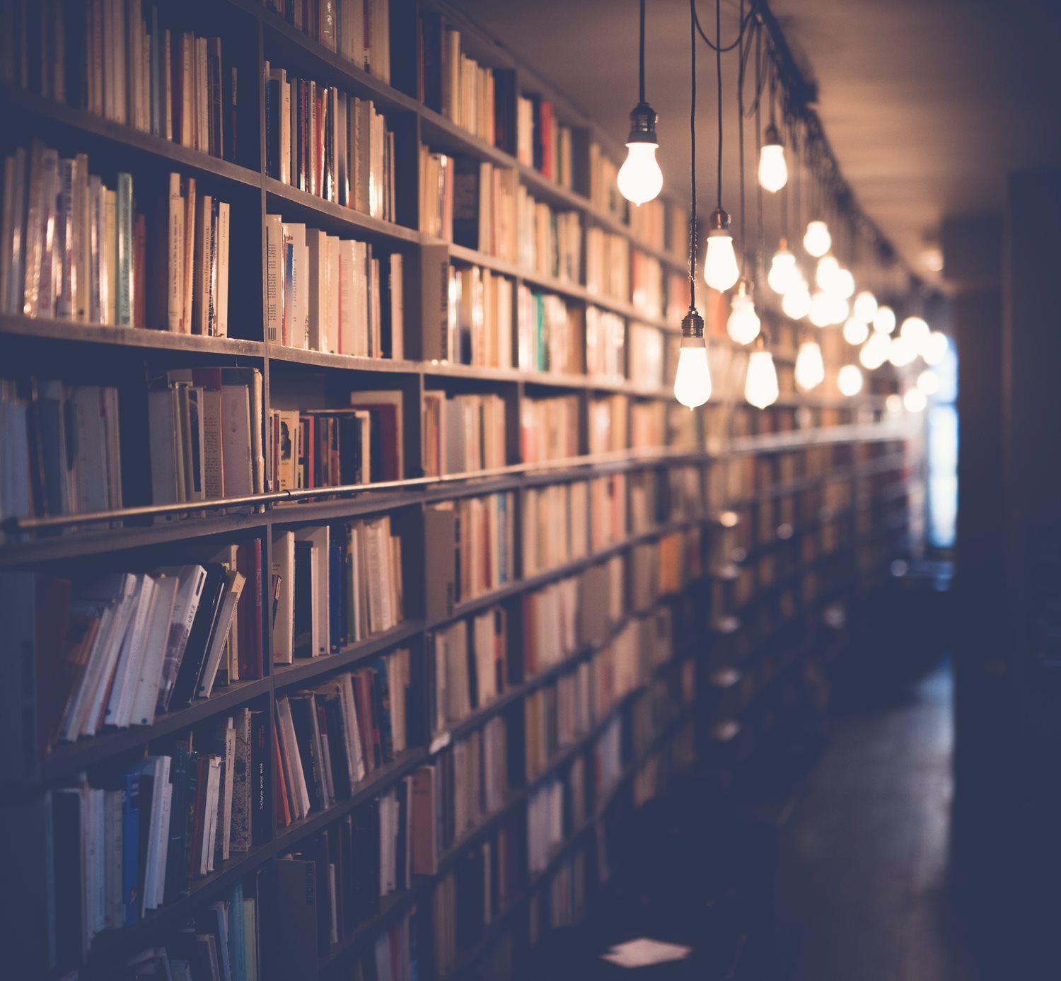 A corridor of bookcases with hanging lights.