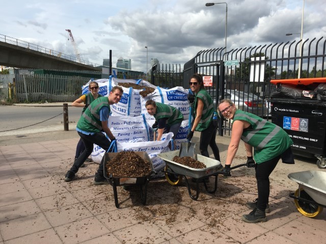 Employees volunteering at a community garden shovelling soil.