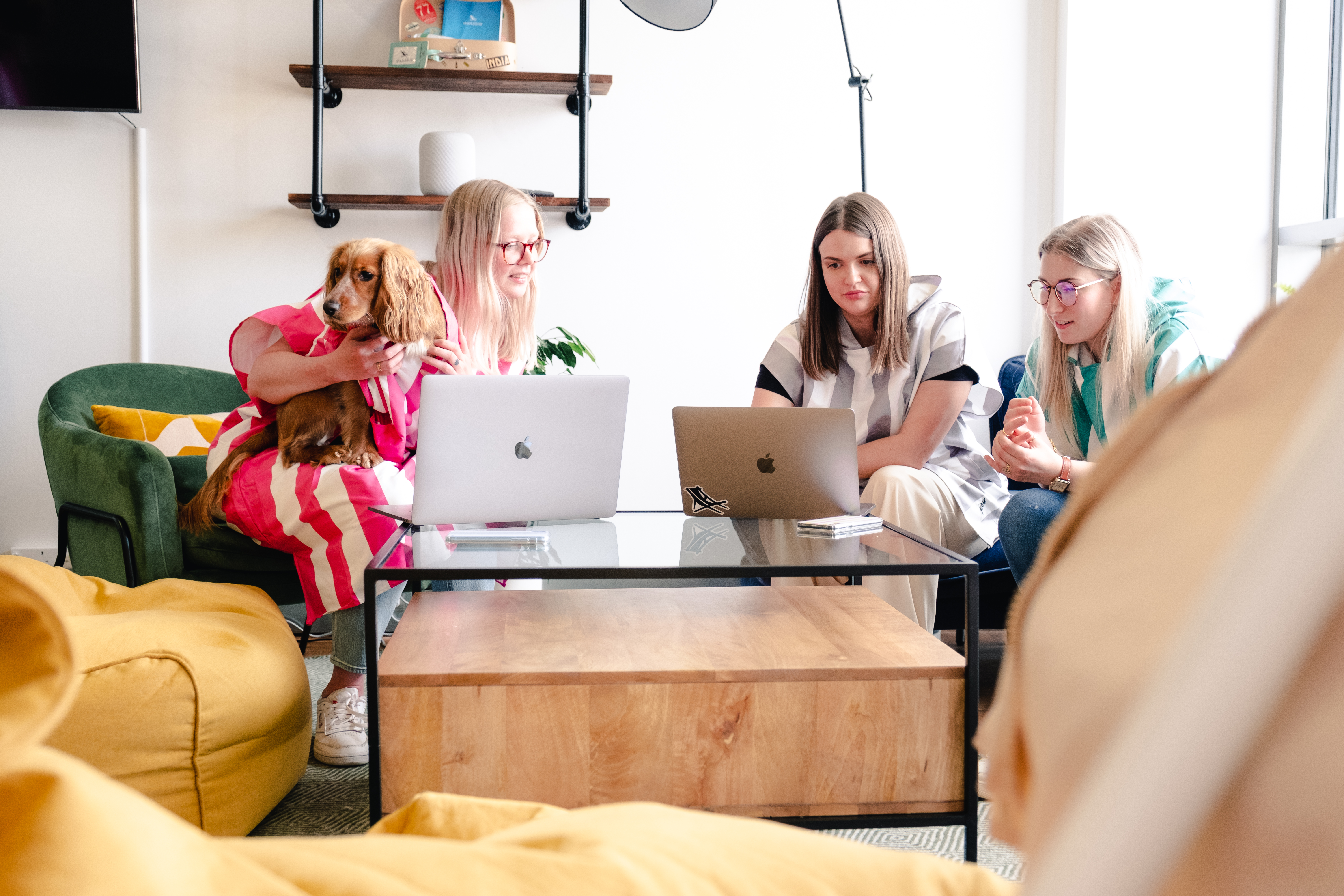 Photo of staff at Dock and Bay in their office