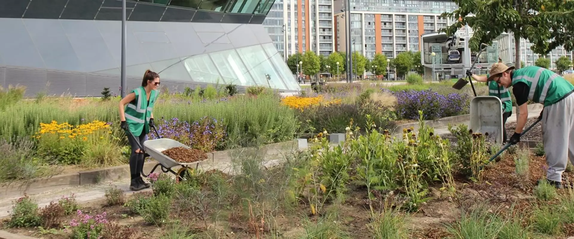 Workspace gets its hands dirty at Victoria Docks - Banner-2