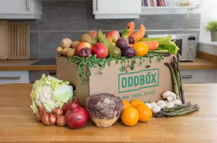 Waste Warriors: The OddBox story - Copy-of-NewHomeBox
